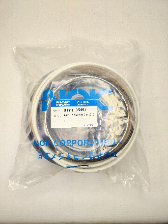 31Y1-35451 (2)