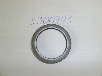 3900709-salnik