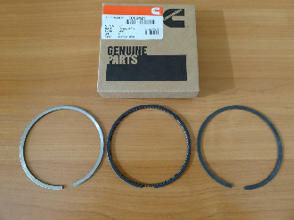 kolca-porshnevye-3802421