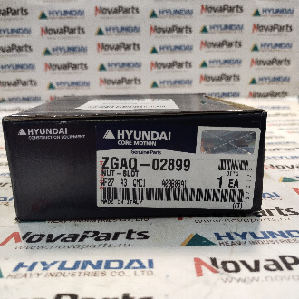 ZGAQ-02899 (2)