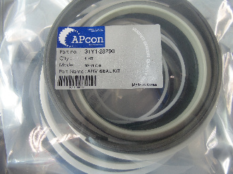 31Y1-28790 WYS (2)