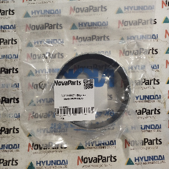 1 110-00071 (3)