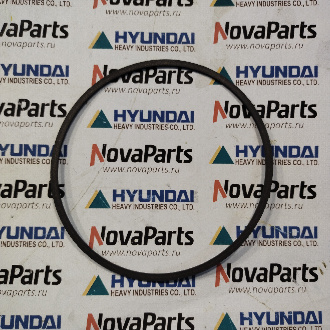 ZGAQ-02925 Кольцо (2)