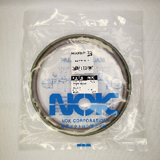 39Q6-12350 NOK (1)