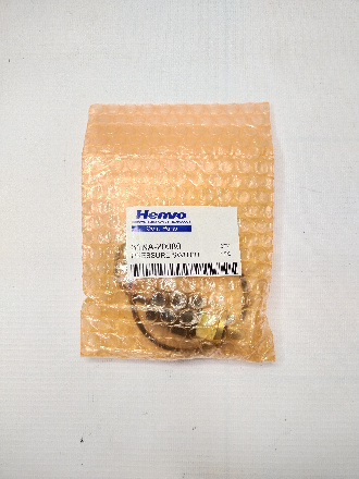 31N5-20080H CHINA HENVO (6)