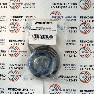 6816537-7135559-remkomplekt-gidrocilindra(1)