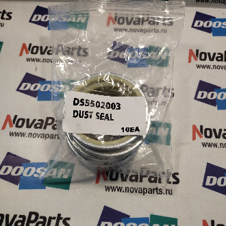 2180-1106BD3  DS5502003