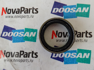 salnik-2-180-00696(2)