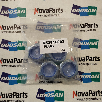 DS2916002