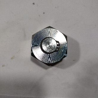 DS2916004 (4)