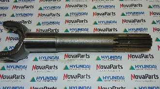 poluos-korotkaya-ZGAQ-02895 (2)