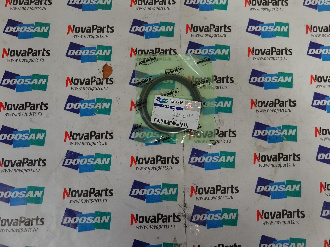 Pyl'nik DS5501031 (2)