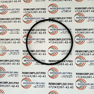 ZGAQ-02209 Кольцо WYS (2)