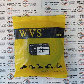 31Y1-09990 (WVS) 1
