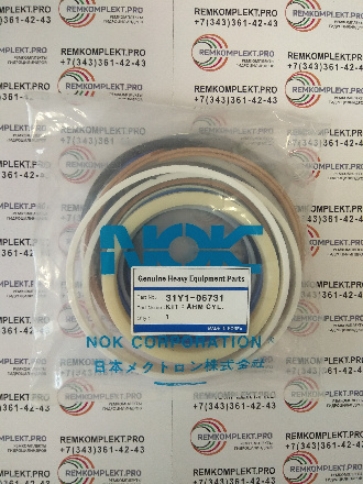31Y1-06731 (2)