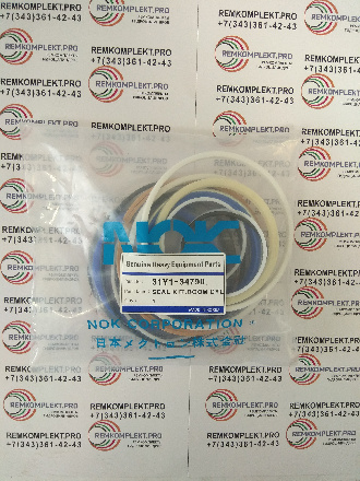 31Y1-34790 (2)