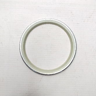 DS5502024 (1)