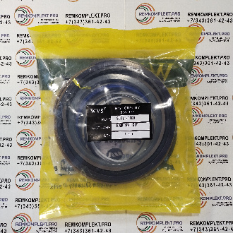 31Y1-21100 (WVS)