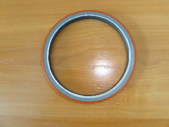 3925529-salnik