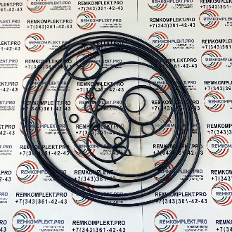 2HL290 Oring