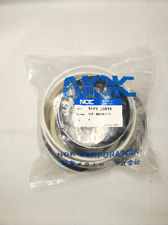 31Y1-20910 (1)