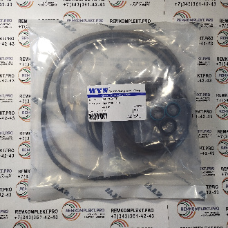 2HL100 WYS (2)