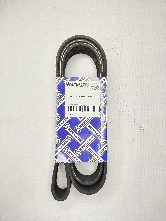 10PK1705HD (DAYCO) (2)
