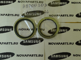 salnik-samsung-p9700303