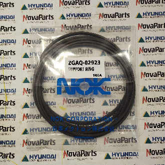 ZGAQ-02923 Кольцо (2)