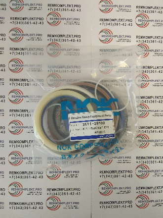 31Y1-29100 (2)