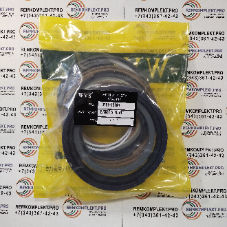 31Y1-10160 (WVS)