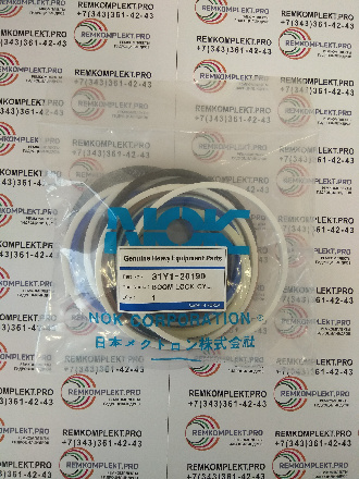 31Y1-20190 (2)