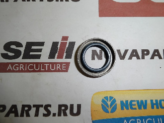 salnik-42530258-42551388-12014600b (4)