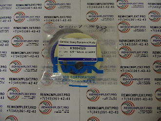 K9004529 401107-00933 (2)