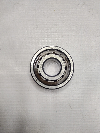 14529765 (2)