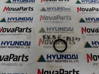 kolco-xkbf-01259 (2)