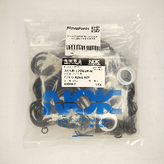 31N8-17002P-K (1)