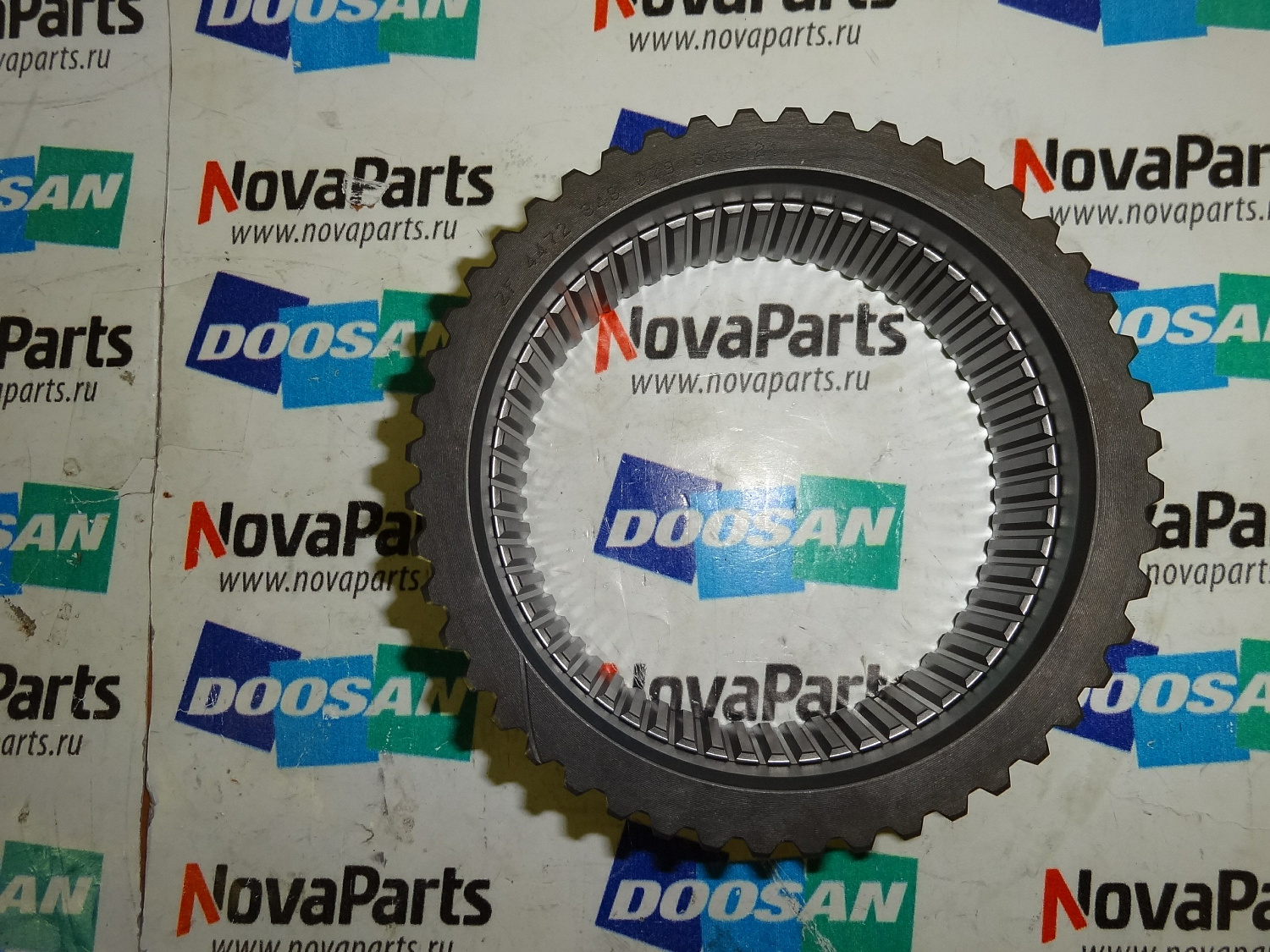 shesternya-K9004166-100502-00044(6)