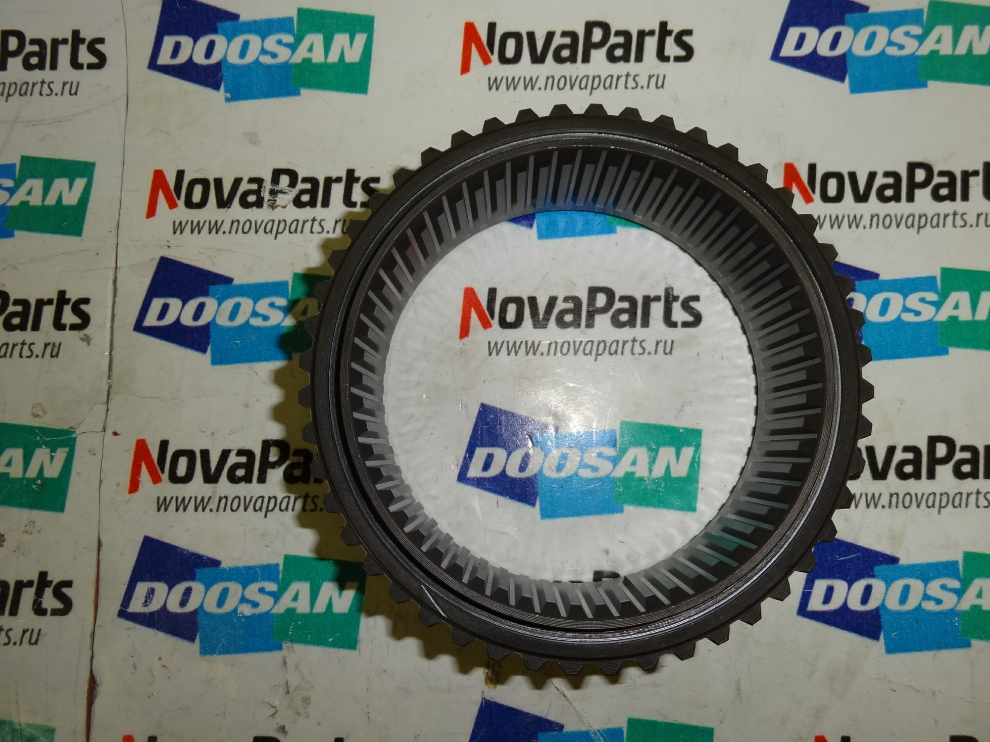 shesternya-K9004166-100502-00044(4)