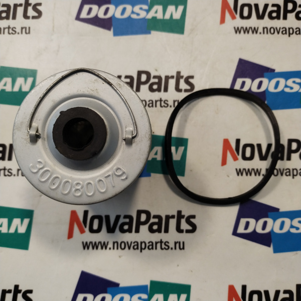300080079 (2)