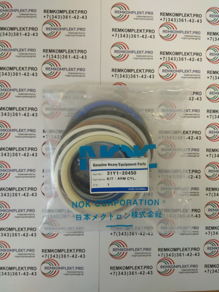 31Y1-20450