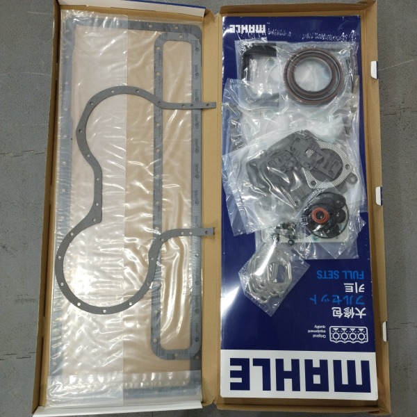 65.99601-8034M CHINA MAHLE (2)