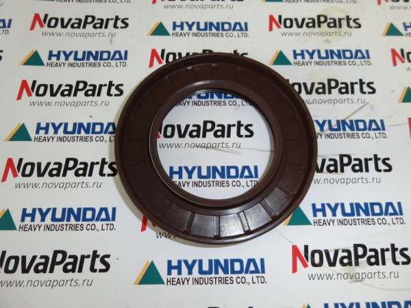 zgaq-02303-zgaq-04459-salnik