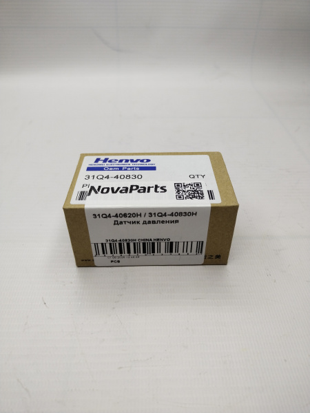 31Q4-40830H CHINA HENVO (2)