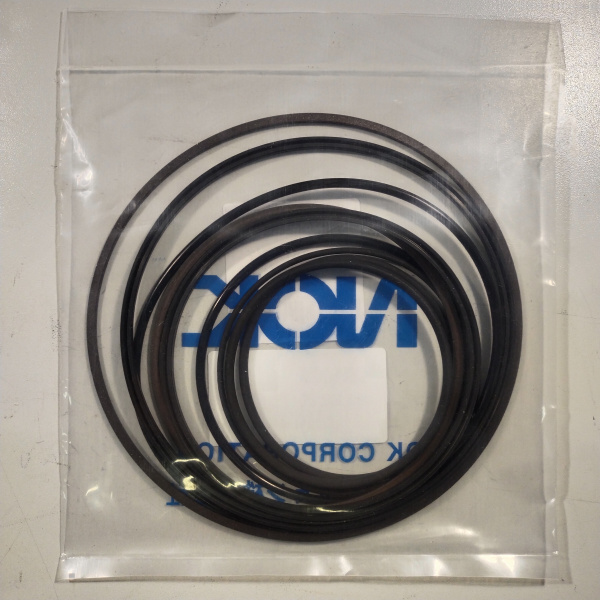 DX140W SEALKIT (NOK) (1)