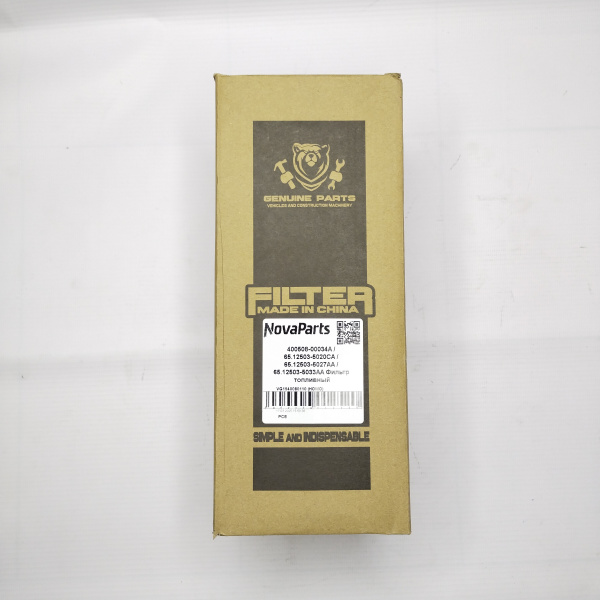 VG1540080110 (HOWO) (2)