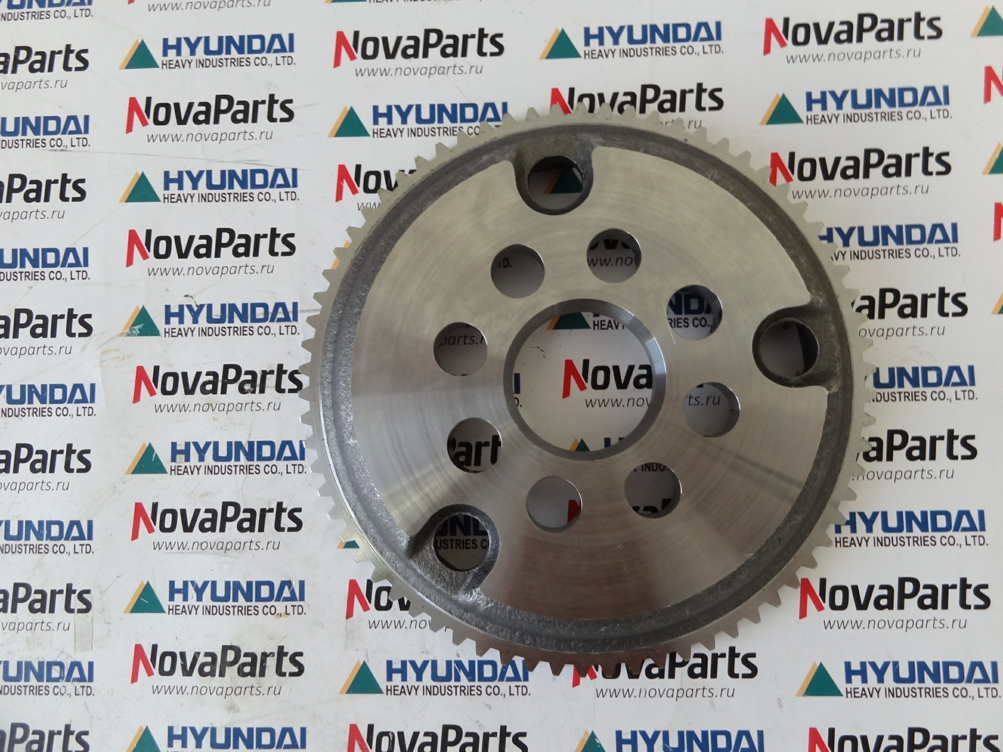 shesternya-solnechnaya-ztam-00070 (3)