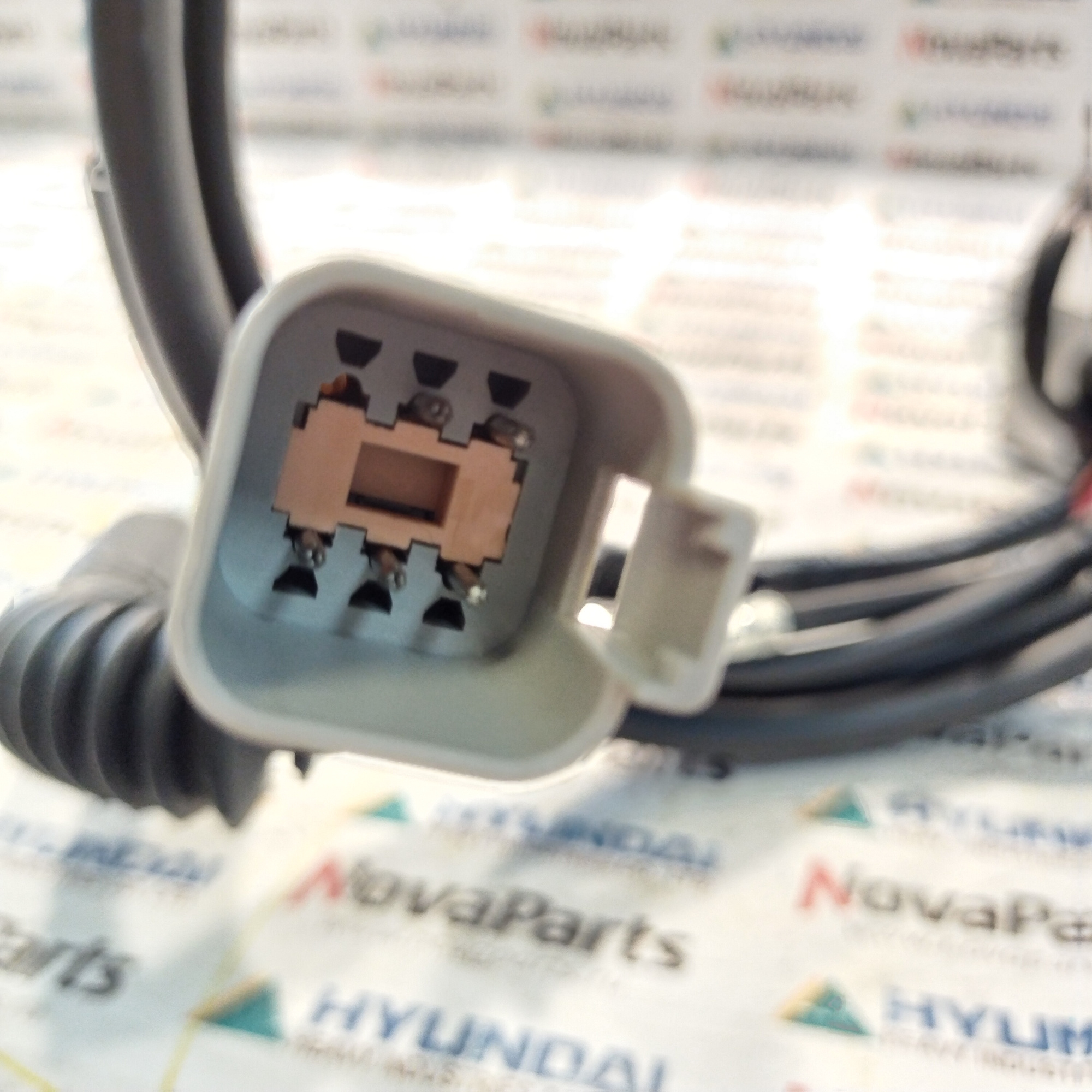 21EN-32200 (4)