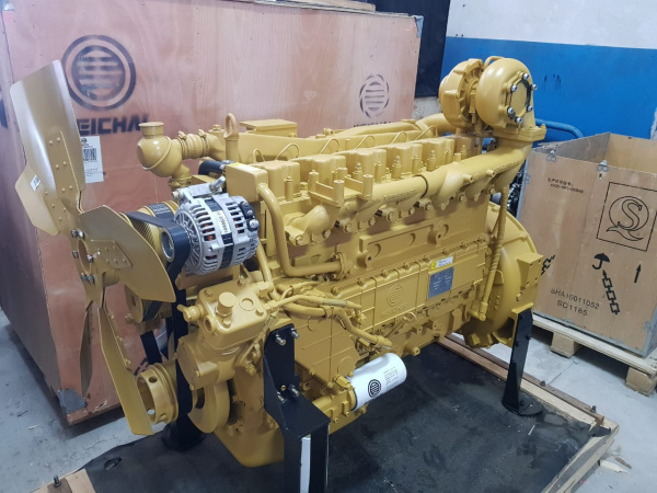 Двигатель WEICHAI WD10G220E21 (4)