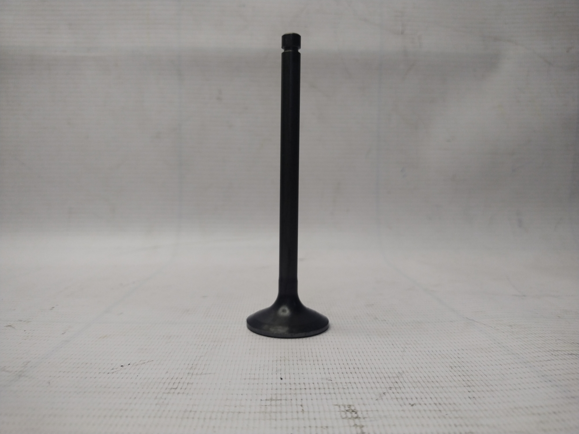 XJAF-01136 (2)